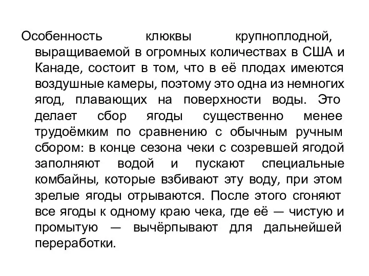 Особенность клюквы крупноплодной, выращиваемой в огромных количествах в США и Канаде,