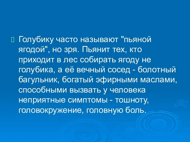 Голубику часто называют "пьяной ягодой", но зря. Пьянит тех, кто приходит