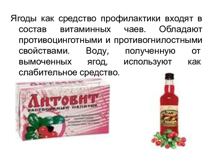 Ягоды как средство профилактики входят в состав витаминных чаев. Обладают противоцинготными