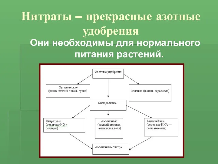 Нитраты – прекрасные азотные удобрения Они необходимы для нормального питания растений.