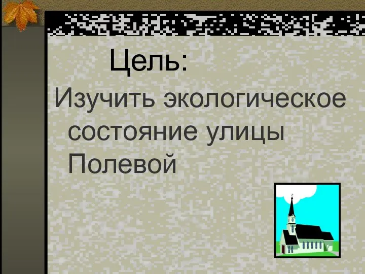 Цель: Изучить экологическое состояние улицы Полевой