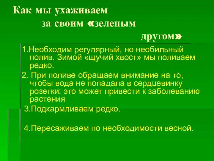 Как мы ухаживаем за своим «зеленым другом» 1.Необходим регулярный, но необильный