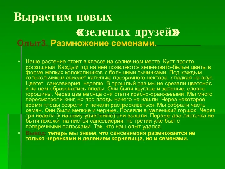 Вырастим новых «зеленых друзей» Опыт3. Размножение семенами. Наше растение стоит в