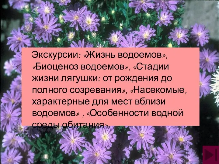 Экскурсии: «Жизнь водоемов», «Биоценоз водоемов», «Стадии жизни лягушки: от рождения до