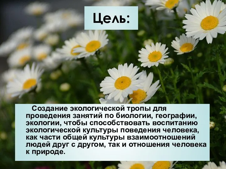 Цель: Создание экологической тропы для проведения занятий по биологии, географии, экологии,