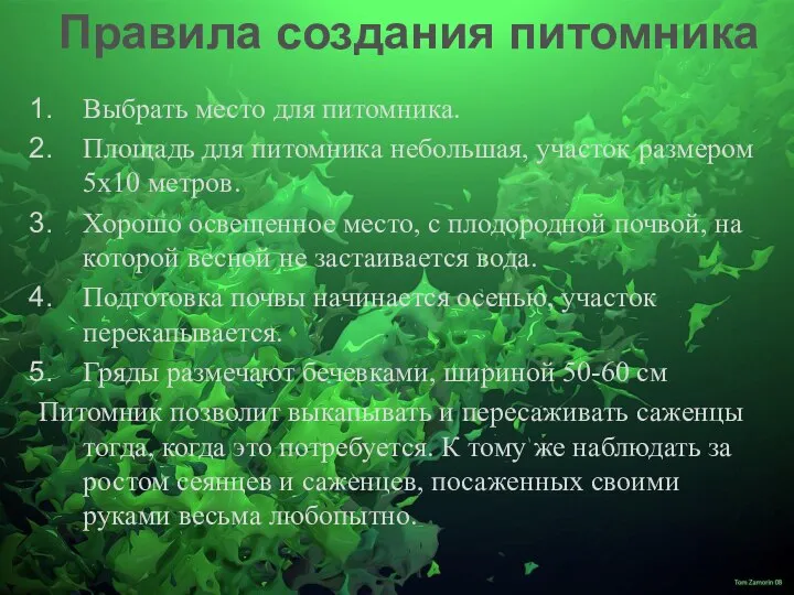 Выбрать место для питомника. Площадь для питомника небольшая, участок размером 5х10