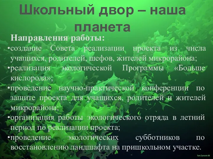 Школьный двор – наша планета Направления работы: создание Совета реализации проекта