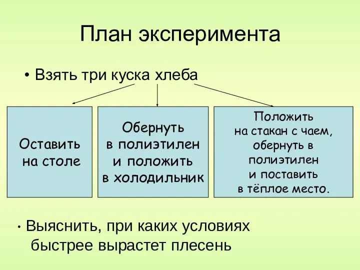 План эксперимента Взять три куска хлеба Оставить на столе Обернуть в