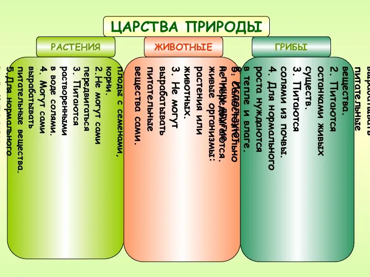 ЦАРСТВА ПРИРОДЫ РАСТЕНИЯ ЖИВОТНЫЕ ГРИБЫ Имеют листья, стебли, цветы, плоды с