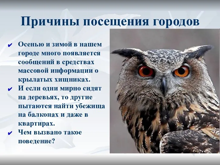 Причины посещения городов Осенью и зимой в нашем городе много появляется