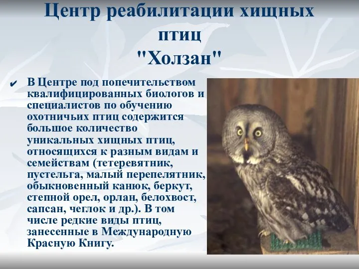 Центр реабилитации хищных птиц "Холзан" В Центре под попечительством квалифицированных биологов