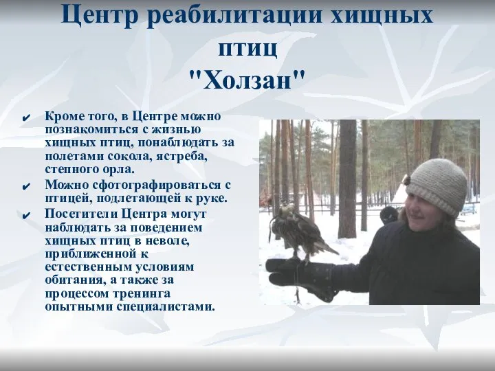 Центр реабилитации хищных птиц "Холзан" Кроме того, в Центре можно познакомиться