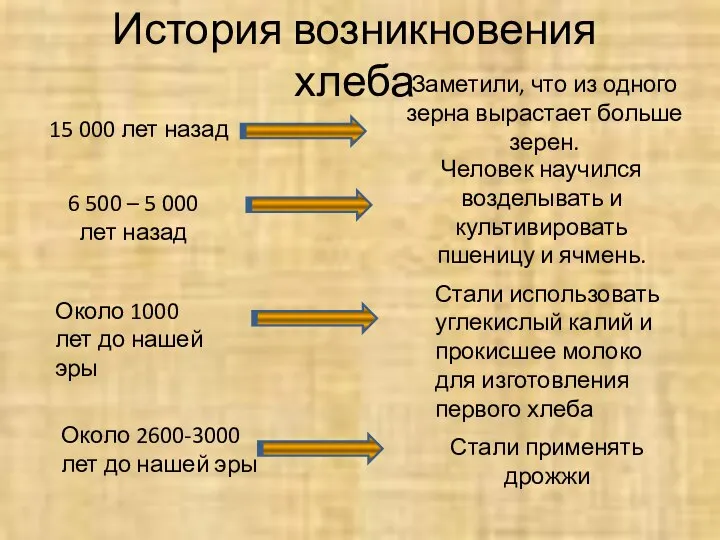 История возникновения хлеба 15 000 лет назад Заметили, что из одного