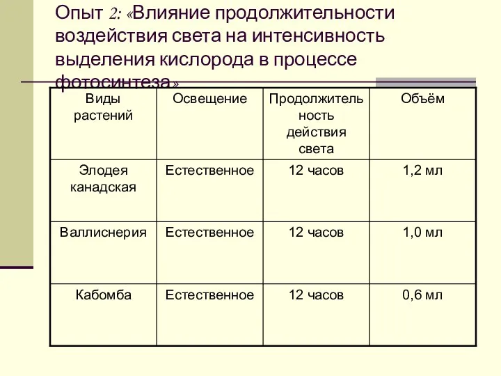 Опыт 2: «Влияние продолжительности воздействия света на интенсивность выделения кислорода в процессе фотосинтеза»