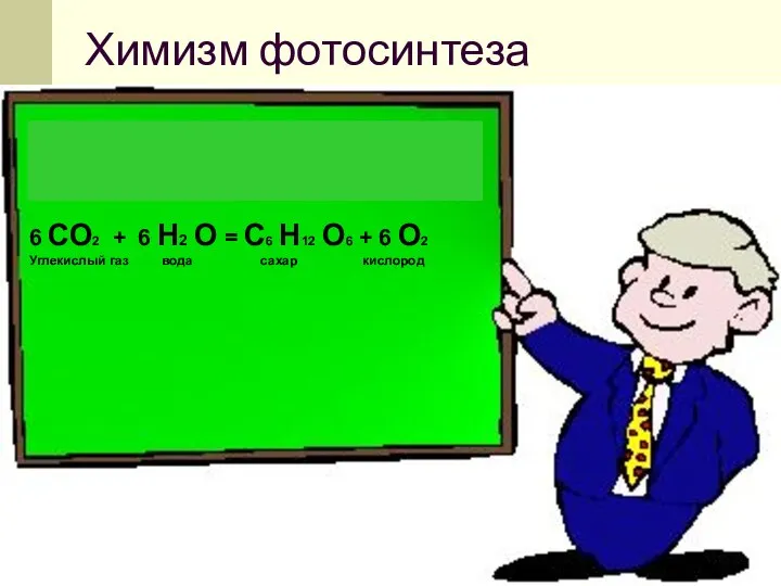 Химизм фотосинтеза 6 СО2 + 6 Н2 О = С6 Н12