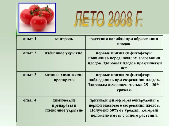 ЛЕТО 2008 Г.