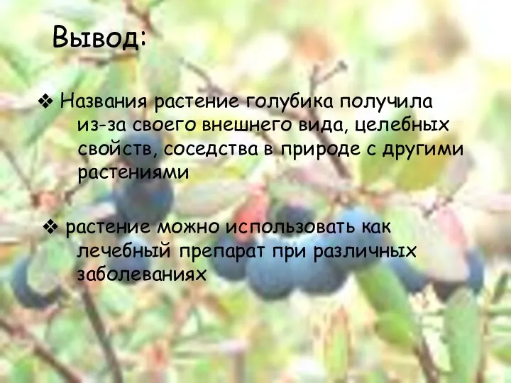 Вывод: Названия растение голубика получила из-за своего внешнего вида, целебных свойств,