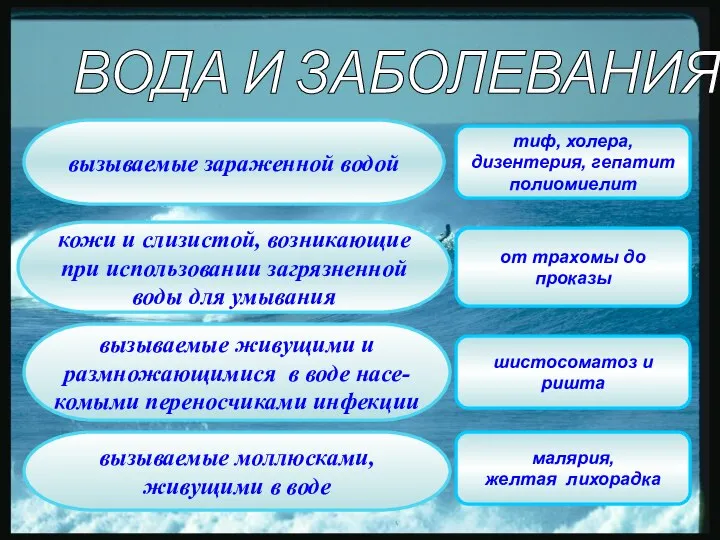 ВОДА И ЗАБОЛЕВАНИЯ: тиф, холера, дизентерия, гепатит полиомиелит от трахомы до