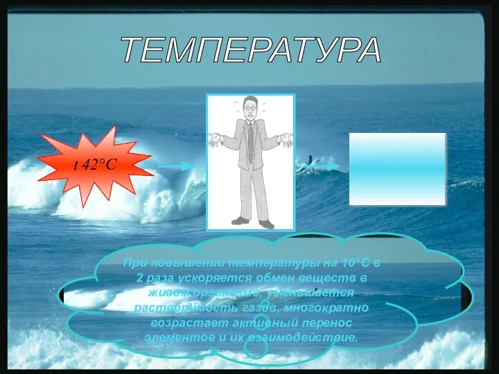 ТЕМПЕРАТУРА t 42°С ________ При повышении температуры на 10°С в 2