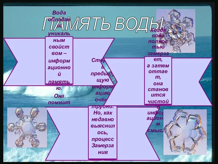 ПАМЯТЬ ВОДЫ Вода обладает уникальным свойством – информационной памятью. Она помнит