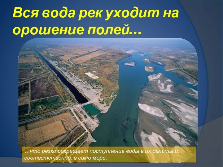 Вся вода рек уходит на орошение полей… …что резко сокращает поступление