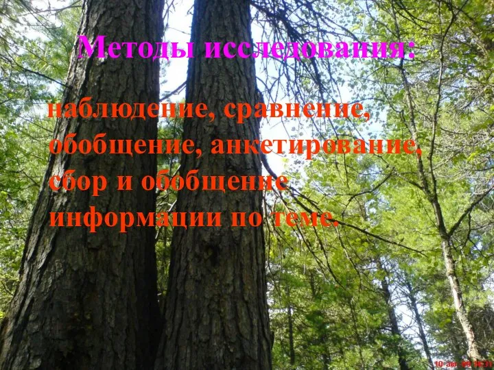 Методы исследования: наблюдение, сравнение, обобщение, анкетирование, сбор и обобщение информации по теме.