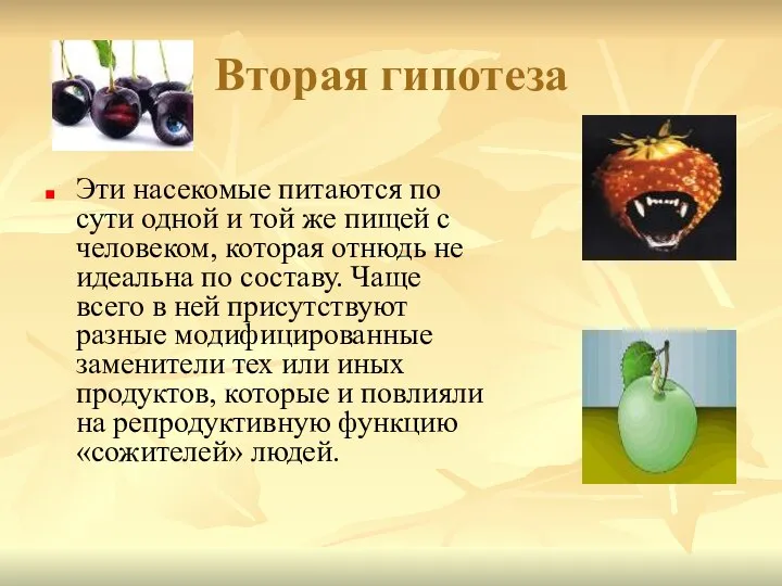 Вторая гипотеза Эти насекомые питаются по сути одной и той же