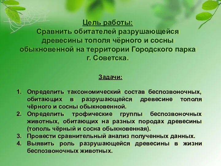 Цель работы: Сравнить обитателей разрушающейся древесины тополя чёрного и сосны обыкновенной