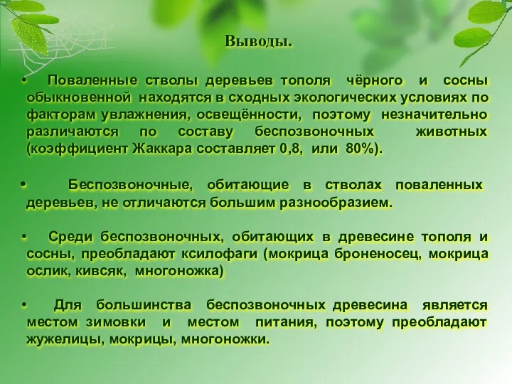 Выводы. Поваленные стволы деревьев тополя чёрного и сосны обыкновенной находятся в