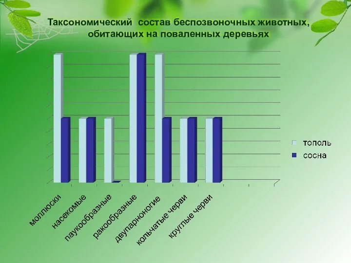 Таксономический состав беспозвоночных животных, обитающих на поваленных деревьях