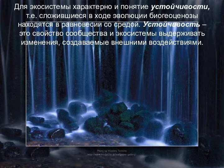 Для экосистемы характерно и понятие устойчивости, т.е. сложившиеся в ходе эволюции