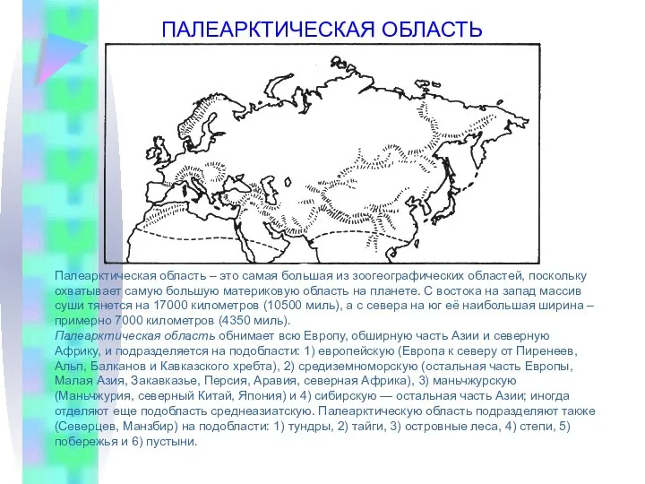 Палеарктическая область – это самая большая из зоогеографических областей, поскольку охватывает