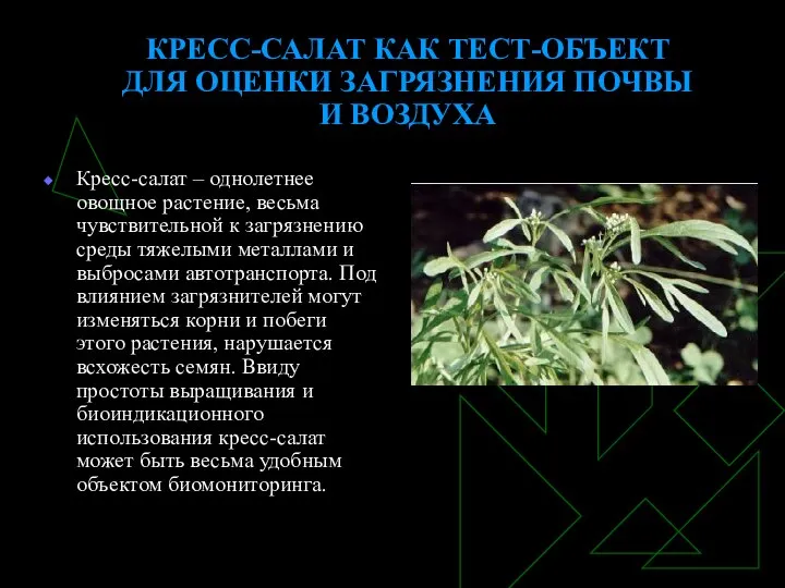 КРЕСС-САЛАТ КАК ТЕСТ-ОБЪЕКТ ДЛЯ ОЦЕНКИ ЗАГРЯЗНЕНИЯ ПОЧВЫ И ВОЗДУХА Кресс-салат –