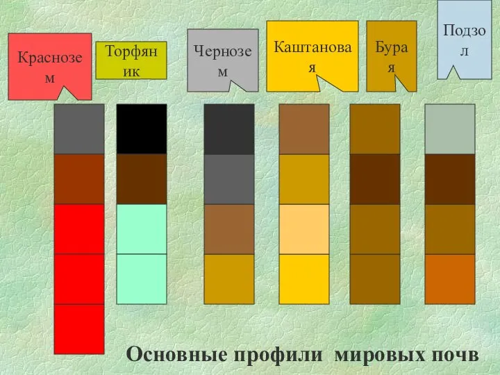 Торфяник Чернозем Каштановая Бурая Подзол Основные профили мировых почв Краснозем