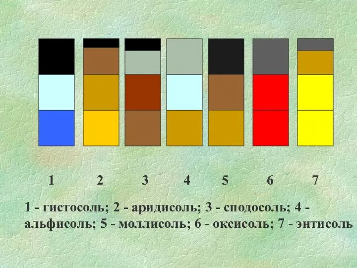 1 2 3 4 5 6 7 1 - гистосоль; 2