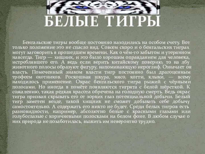 Бенгальские тигры вообще постоянно находились на особом счету. Вот только положение