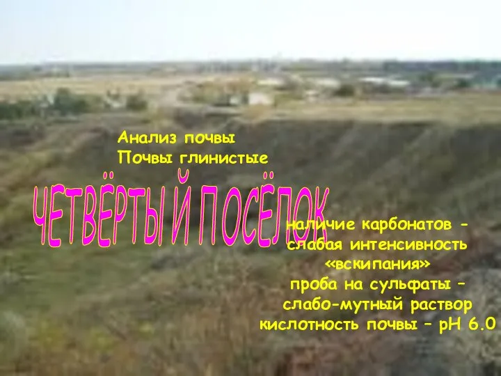 ЧЕТВЁРТЫЙ ПОСЁЛОК Анализ почвы Почвы глинистые наличие карбонатов - слабая интенсивность