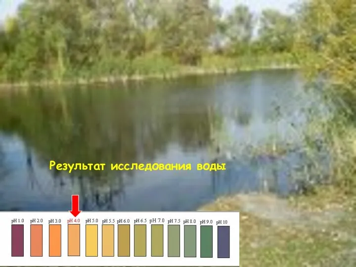 Результат исследования воды