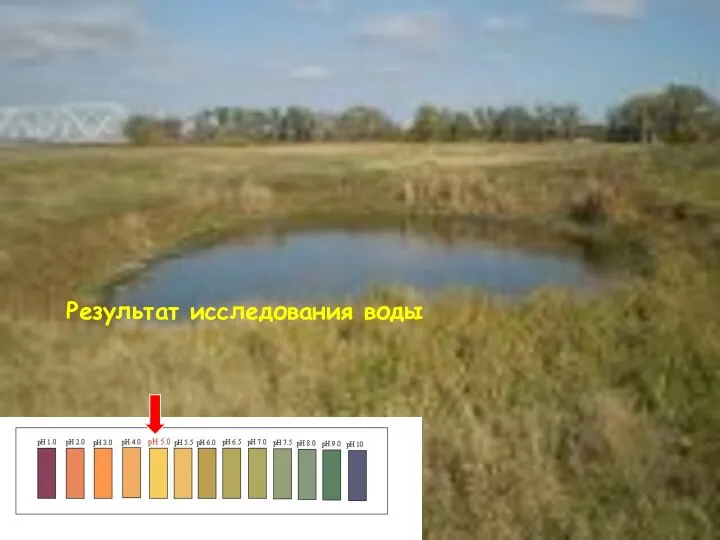 Результат исследования воды