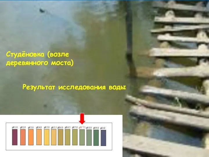 Студёновка (возле деревянного моста) Результат исследования воды