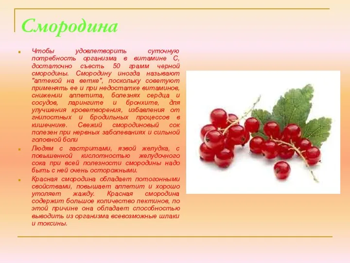 Смородина Чтобы удовлетворить суточную потребность организма в витамине С, достаточно съесть