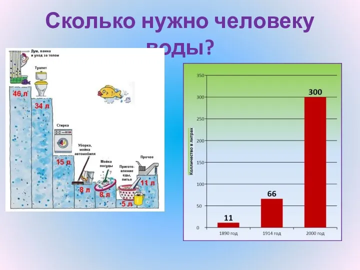 Сколько нужно человеку воды?