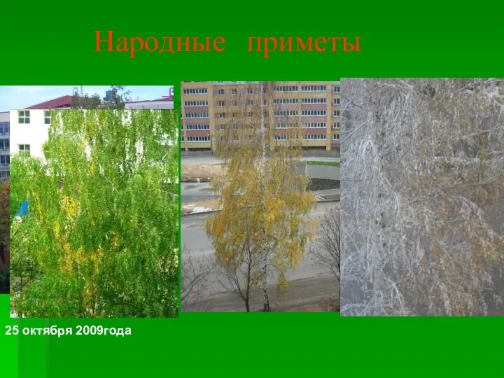 Народные приметы 25 октября 2009года