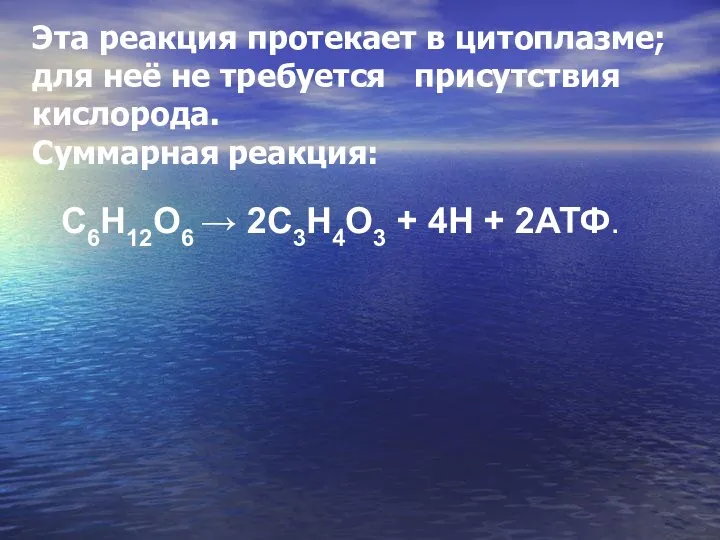 Эта реакция протекает в цитоплазме; для неё не требуется присутствия кислорода.