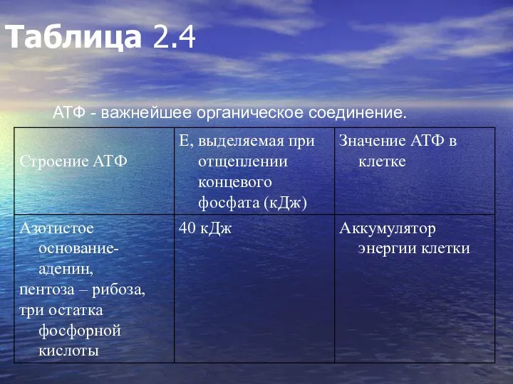 Таблица 2.4 АТФ - важнейшее органическое соединение.