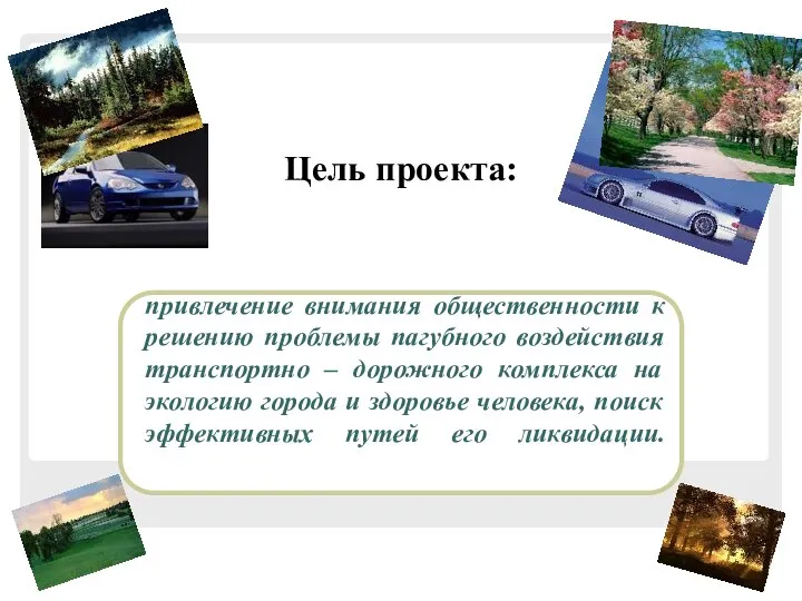 привлечение внимания общественности к решению проблемы пагубного воздействия транспортно – дорожного