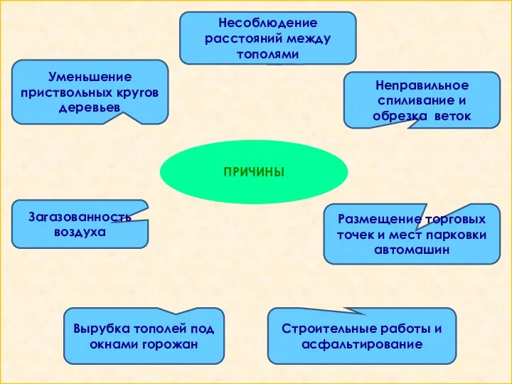 ПРИЧИНЫ Несоблюдение расстояний между тополями Уменьшение приствольных кругов деревьев Неправильное спиливание