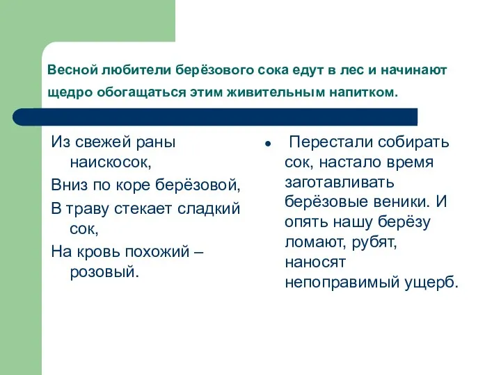 Весной любители берёзового сока едут в лес и начинают щедро обогащаться