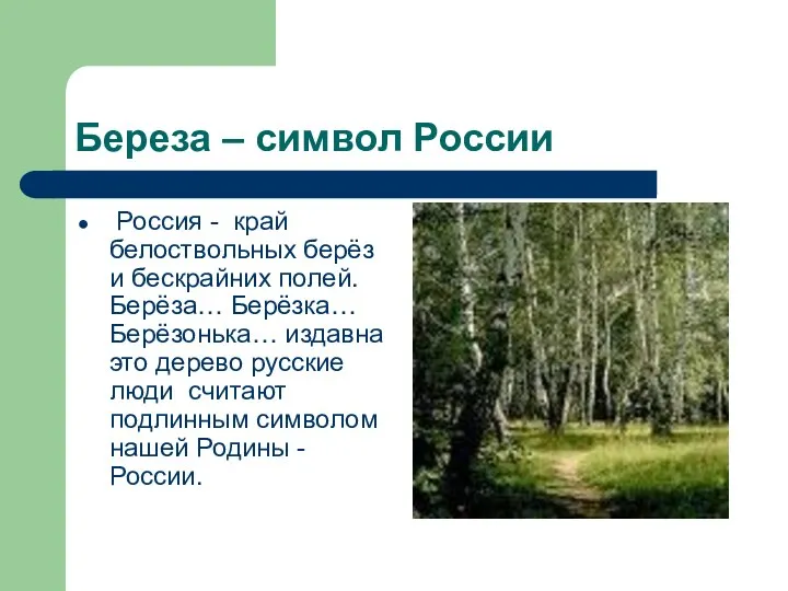 Береза – символ России Россия - край белоствольных берёз и бескрайних