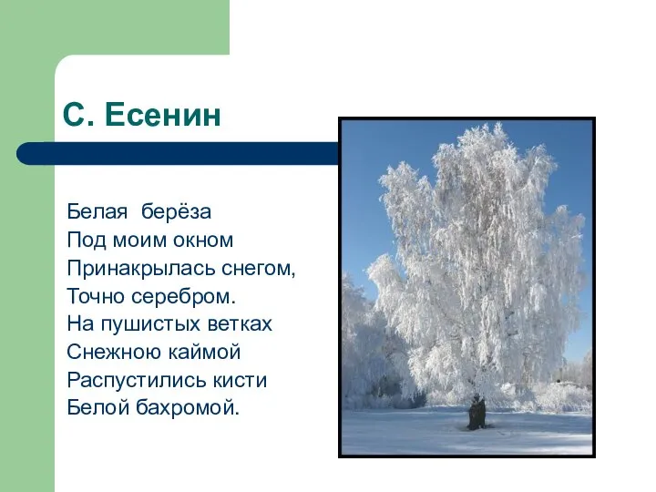 С. Есенин Белая берёза Под моим окном Принакрылась снегом, Точно серебром.